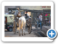 Agra 2009 38