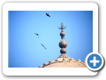 Agra 2009 48