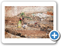 Agra 2009 55