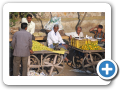 Agra 2009 74