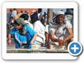 Delhi 2009 40