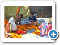 Delhi 2009 8