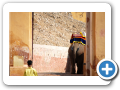 Jaipur 2009 48