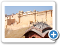 Jaipur 2009 52