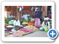 Jaipur 2009 95