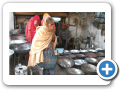 Jodhpur 2009 27