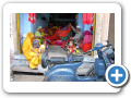 Jodhpur 2009 31