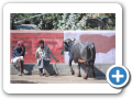 Mount Abu 2009 25