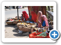 Mount Abu 2009 48