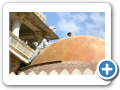 Ranakpur 2009 36