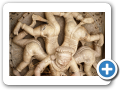 Ranakpur 2009 62