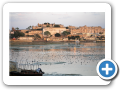 Udaipur 2009 2