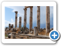 Apamea 2009  10