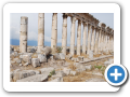 Apamea 2009  12