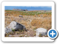 Apamea 2009  15
