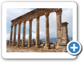 Apamea 2009  3