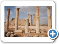 Jerash 2009  19