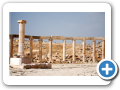 Jerash 2009  5