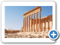 Palmyra 2009  11