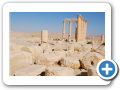 Palmyra 2009  12