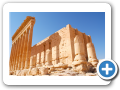 Palmyra 2009  14