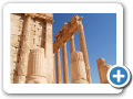 Palmyra 2009  17