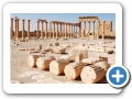 Palmyra 2009  19