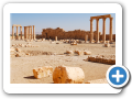 Palmyra 2009  21