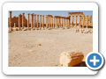 Palmyra 2009  22