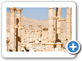 Palmyra 2009  24