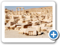 Palmyra 2009  26