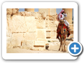 Palmyra 2009  47