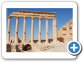 Palmyra 2009  9