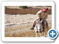 Petra 2009  2
