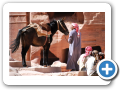Petra 2009  28