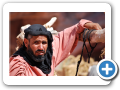 Petra 2009  35