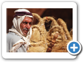 Petra 2009  36