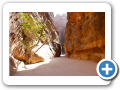 Petra 2009  7