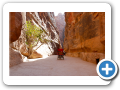 Petra 2009  8