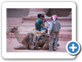 Petra 2009  82