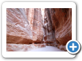 Petra 2009  86