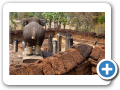 Angkor Pre Rup 2008 7