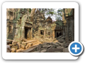 Angkor Ta Prohm 2008 12