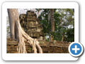 Angkor Ta Prohm 2008 14