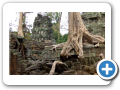 Angkor Ta Prohm 2008 18