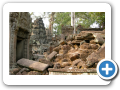 Angkor Ta Prohm 2008 23