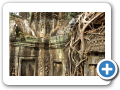 Angkor Ta Prohm 2008 9