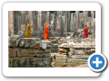 Angkor Thom 2008 11