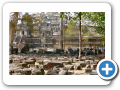 Angkor Thom 2008 48
