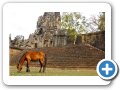 Angkor Thom 2008 5